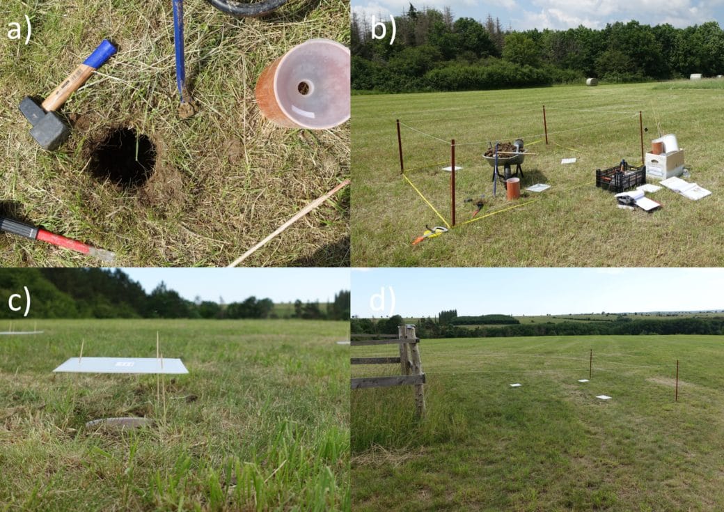 Picture: The collage contains four photos. Photo 1 shows the preparation of a ground funnel trap. Photographed from above, one sees the bottom of a mown meadow with a hole dug out. The diameter of the hole is estimated to be about fifteen centimetres. To the left and above the hole are a hammer and a pry bar. To the right of the hole is an orange-brown tube or sleeve in which a white funnel is inserted at the top. Both parts are made of plastic. Photo 2 shows the investigation area in the meadow where the ground funnel trap is installed. The area is estimated to be about two by three metres and is marked with four thin dark red posts with strings stretched between them at the top and yellow tapes laid along the bottom on the ground. Within the area you can see the objects from photo 1 and a wheelbarrow filled with soil on which an earth boring stick is lying. There are also three white square plastic plates on the grass, which are used as rain protection for the ground funnel traps. To the right in front of the enclosed investigation area are a black folding box and a white high box, both filled with working materials. In front of the boxes, two opened document folders lie in the grass. In the background of the picture, shrubs, a few bare conifers and a green deciduous forest can be seen. Photo 3 shows a square white plastic plate above the ground funnel trap embedded in the ground, which serves as a rain shelter. The plate is estimated to be about twenty centimetres above the funnel. The plate is held in place by three thin wooden sticks, possibly shish kebab skewers, onto which it is attached. The sticks protrude from the top through three holes drilled in the plate. Photo 4 shows from a few metres away three installed ground funnel traps with rain protection roofs. To the left of the ground funnel traps, the fencing of a climate measuring station protrudes into the picture. The mown meadow on which the ground funnel traps are installed is very large and extends far to the rear to a row of deciduous trees that stretches across the photo. Behind it on the horizon, a small forest, more meadows and individual trees can be seen.