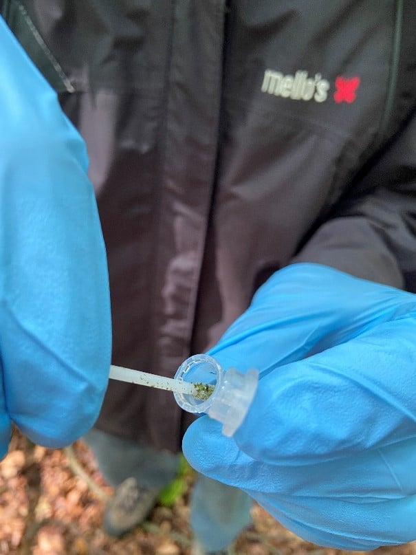 Abbildung: Das Foto zeigt die in blauen Handschuhen steckenden Hände von Doktor Dal Grande beim Ablegen einer Probe in ein transparentes Proben-Röhrchen.
