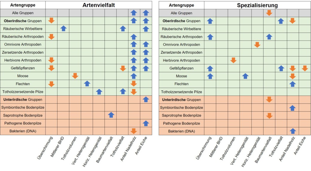 Abbildung: Die Grafik zeigt in zwei Tabellen die positiven und negativen Effekte von Struktureigenschaften des Waldes auf Artenvielfalt und Spezialisierungsgrad.