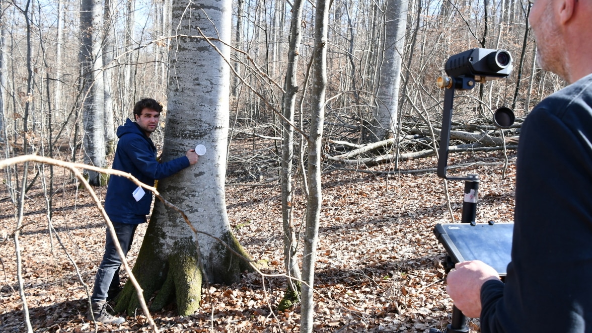 LMT Alb berichtet im Alb-Boten über die Wald-Vollinventur